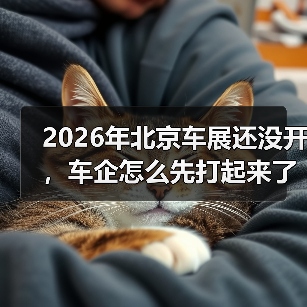 2026年北京车展还没开,车企怎么先打起来了?(图3) 2026年北京车展还没开,车企怎么先打起来了?(图3)