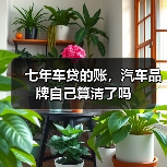 七年车贷的账，汽车品牌自己算清了吗（图3）