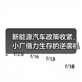 新能源汽车政策收紧,小厂借力生存的逆袭机会?(图1) 新能源汽车政策收紧,小厂借力生存的逆袭机会?(图1)