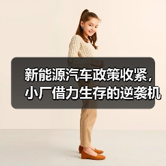 新能源汽车政策收紧,小厂借力生存的逆袭机会?(图3) 新能源汽车政策收紧,小厂借力生存的逆袭机会?(图3)