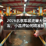 2026北京车展流量大爆发,小品牌如何精准接住?(图4) 2026北京车展流量大爆发,小品牌如何精准接住?(图4)