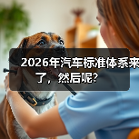 2026年汽车标准体系来了，然后呢？（图2）