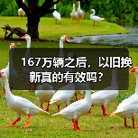 167万辆之后,以旧换新真的有效吗?(图3) 167万辆之后,以旧换新真的有效吗?(图3)