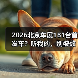 2026北京车展181台首发车?听我的,别被数字唬住(图4) 2026北京车展181台首发车?听我的,别被数字唬住(图4)