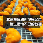 北京车展刷新规模纪录,错过后悔不已的教训你必须知道!(图3) 北京车展刷新规模纪录,错过后悔不已的教训你必须知道!(图3)