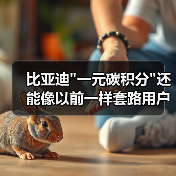 比亚迪 比亚迪