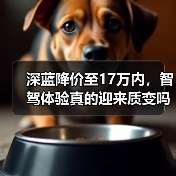 深蓝降价至17万内,智驾体验真的迎来质变吗?(图1) 深蓝降价至17万内,智驾体验真的迎来质变吗?(图1)