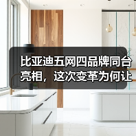 比亚迪五网四品牌同台亮相,这次变革为何让人眼前一亮?(图2) 比亚迪五网四品牌同台亮相,这次变革为何让人眼前一亮?(图2)