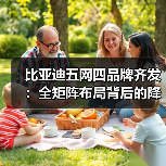 比亚迪五网四品牌齐发:全矩阵布局背后的降维打击策略(图2) 比亚迪五网四品牌齐发:全矩阵布局背后的降维打击策略(图2)