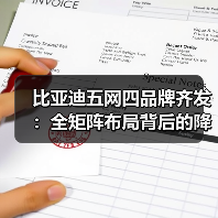 比亚迪五网四品牌齐发:全矩阵布局背后的降维打击策略(图3) 比亚迪五网四品牌齐发:全矩阵布局背后的降维打击策略(图3)