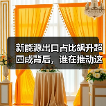 新能源出口占比飙升超四成背后,谁在推动这场变革?(图3) 新能源出口占比飙升超四成背后,谁在推动这场变革?(图3)