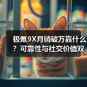 极氪9X月销破万靠什么?可靠性与社交价值双赢(图4) 极氪9X月销破万靠什么?可靠性与社交价值双赢(图4)