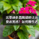 比亚迪多品牌战略让消费者困惑？如何理性选择？（图3）