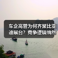 车企高管为何齐聚比亚迪展台？竞争逻辑悄然转变（图4）