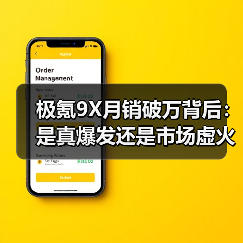 极氪9X月销破万背后：是真爆发还是市场虚火？（图2）