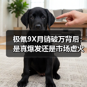 极氪9X月销破万背后：是真爆发还是市场虚火？（图1）
