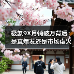 极氪9X月销破万背后：是真爆发还是市场虚火？（图3）