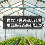 极氪9X月销破万背后：是真爆发还是市场虚火？（图4）