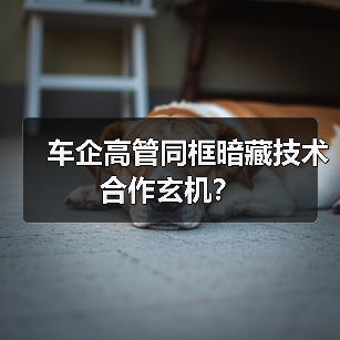 车企高管同框暗藏技术合作玄机？（图1）