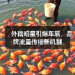 外籍明星引爆车展，品牌流量传播新机制（图2）