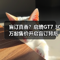 盲订真香？启境GT7 30万起售价开启盲订背后的真相（图4）