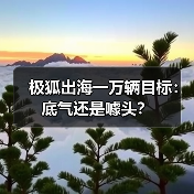 极狐出海一万辆目标：底气还是噱头？（图3）
