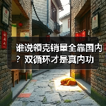 谁说领克销量全靠国内？双循环才是真内功（图4）