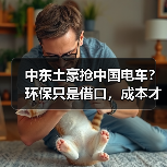 中东土豪抢中国电车？环保只是借口，成本才是王道（图1）