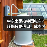中东土豪抢中国电车？环保只是借口，成本才是王道（图3）