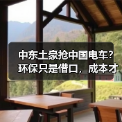中东土豪抢中国电车？环保只是借口，成本才是王道（图4）