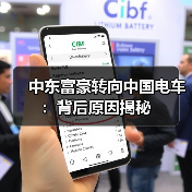 中东富豪转向中国电车：背后原因揭秘（图3）