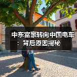 中东富豪转向中国电车：背后原因揭秘（图4）