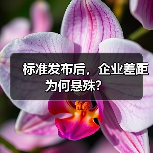 标准发布后，企业差距为何悬殊？（图1）