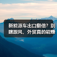 新能源车出口翻倍？别瞎跟风，外贸真的能赚吗（图3）