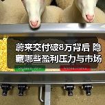 蔚来交付破8万背后 隐藏哪些盈利压力与市场信号？（图3）