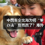 中国车企出海为何“笨办法”反而赢了？海外网点布局关键在“真（图1）