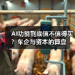 AI功能到底值不值得买？车企与资本的算盘（图1）