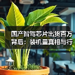 国产智驾芯片出货百万背后：装机量真相与行业拐点（图1）