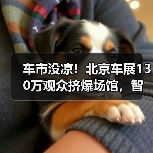 车市没凉!北京车展130万观众挤爆场馆,智能变革引热议(图4) 车市没凉!北京车展130万观众挤爆场馆,智能变革引热议(图4)