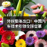 外媒集体改口!中国汽车技术引领全球变革(图1) 外媒集体改口!中国汽车技术引领全球变革(图1)