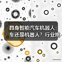 具身智能汽车机器人:车还是机器人?行业挑战揭秘(图3) 具身智能汽车机器人:车还是机器人?行业挑战揭秘(图3)