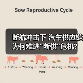 断航冲击下 汽车供应链为何难逃 断航冲击下 汽车供应链为何难逃