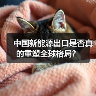 中国新能源出口是否真的重塑全球格局？（图2）