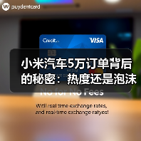 小米汽车5万订单背后的秘密:热度还是泡沫?(图2) 小米汽车5万订单背后的秘密:热度还是泡沫?(图2)