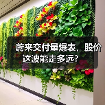 蔚来交付量爆表,股价这波能走多远?(图1) 蔚来交付量爆表,股价这波能走多远?(图1)