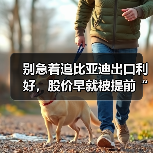 别急着追比亚迪出口利好,股价早就被提前“吃”了(图1) 别急着追比亚迪出口利好,股价早就被提前“吃”了(图1)