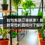 智驾车展订单暴涨?数据背后的真相你了解吗(图2) 智驾车展订单暴涨?数据背后的真相你了解吗(图2)