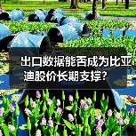 出口数据能否成为比亚迪股价长期支撑?(图3) 出口数据能否成为比亚迪股价长期支撑?(图3)