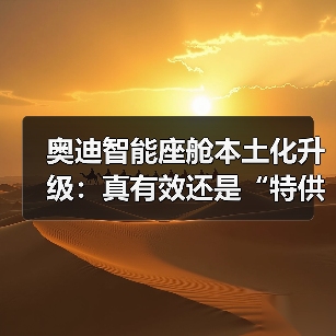 奥迪智能座舱本土化升级：真有效还是“特供”套路？别再被忽悠（图4）
