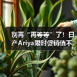 别再“再等等”了!日产Ariya限时促销值不值?(图2) 别再“再等等”了!日产Ariya限时促销值不值?(图2)